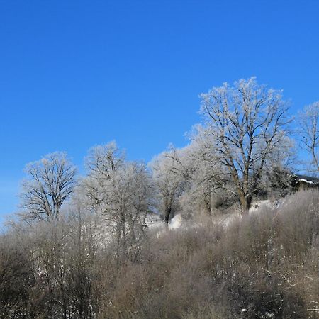 Belvedere Appart & Chalet - Ihr Zuhause Auf Zeit Am Edersee - Ihr Geschenk Die Gaestecard Grimmheimat فالديك المظهر الخارجي الصورة